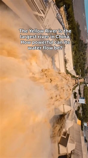 Hua Hua | The Yellow River is the largest river in China. How powerful can its water flow be? Follow me to update more travel videos #china... | Instagram