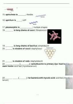 BIOS242 Lab 20232024 Practical Review