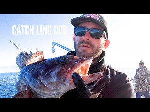 How to Catch Ling Cod