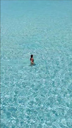 Isola dell'Asinara, la perla del Mar Mediterraneo | Futurismo- Escursioni Asinara