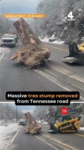 Massive tree stump removed from Tennessee road