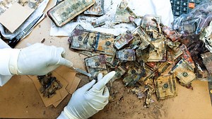 Let’s set the scene: you’ve just discovered your pup chewed away at your entire life savings. Or, last month’s rent was suddenly burned to a crisp after being left in the oven. Bizarre mistakes happen, but what can you do? The Mutilated Currency Division has got you covered. | Great Big Story