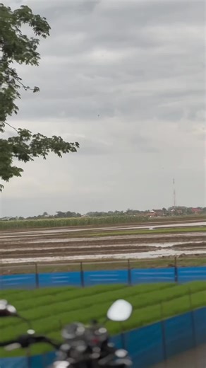 Lagu Candu RX King: Spek dan Gaya Pak Guru