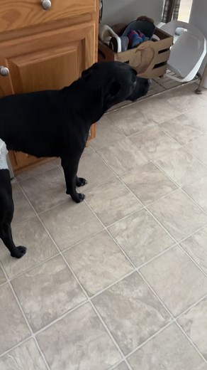 katieee ✨ on TikTok