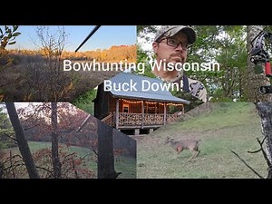 Buck Down ~ Bow Hunting Wisconsin ~ Clark County and Jefferson County.