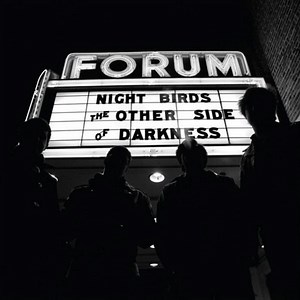 Night Birds - The Other Side Of Darkness