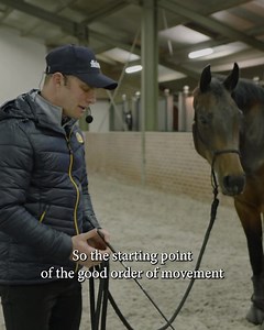 21K views · 946 reactions | When starting your young horse, avoid...