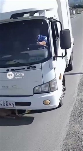 防犯カメラが捉えた…子どもを救った“勇敢な犬”に世界が震えた🐶⚡🌍 #衝撃映像