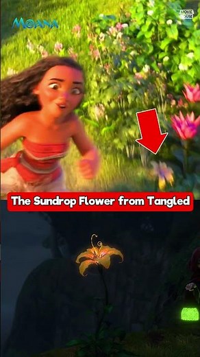 SUNDROP FLOWER from Tangled in MOANA