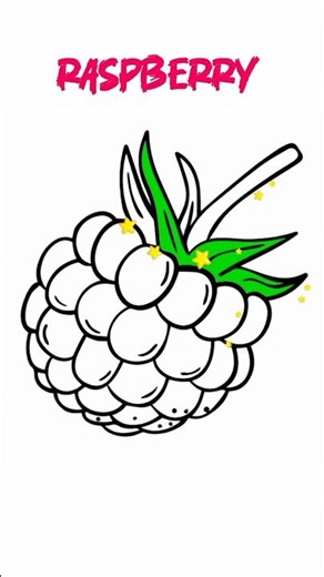 Raspberry #art #painting #drawing #coloring #raspberry