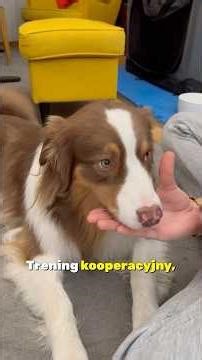 Part 1. Cooperative Training.