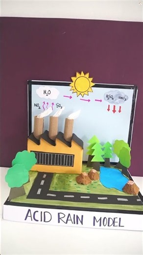 3D Acid Rain Exhibition Model: Step-by-Step Guide | Easy Science Fair Project: Acid Rain Model DIY