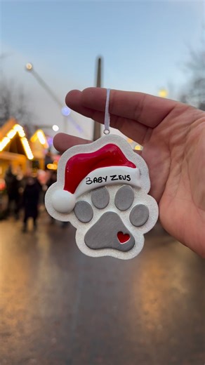 Zeus may be gone but he will never be forgotten, he’s bday was only last week | Dean Rowland