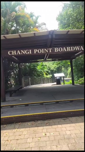 After we had our breakfast at Changi village told my wife I wanted to walk around the newly renovated Changi Broadwalk while going down saw this uncle trying to gaff this good size stingray up, managed to help him out. Now I feel like going fishing with my kayak 🤣 #changibeachclub #fishingsg🇸🇬🎣 #fyp