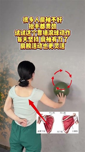 One movement exercises the rotator cuff#Scapula#Shoulder sleeve#There are new ways to