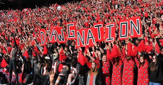 Dawgnation - Gameday