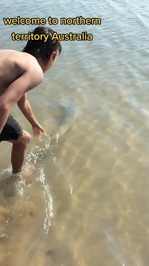 welcome to northern territory Australia 😳🤔