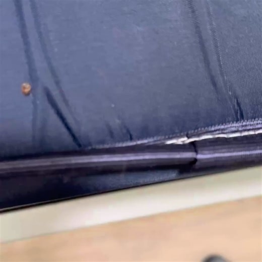 ShottawaTV | Ottawa | Bed Bugs are Spreading in UOttawa 😳‼️ Students at the University of Ottawa are raising concerns after multiple reports of bed bugs... | Instagram