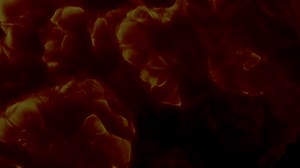 The Lindisfarne Causeway