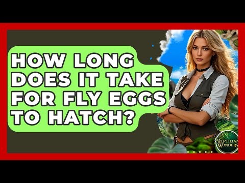 How Long Does It Take For Fly Eggs To Hatch? - Reptilian Wonders