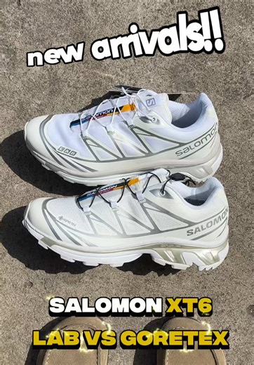 Salomon XT6 Lab vs Goretex Comparison