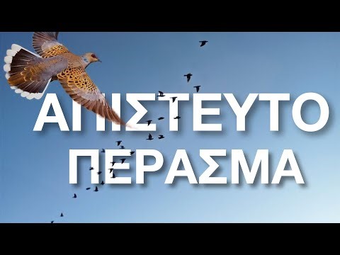 ΟΥΤΕ ΣΕ ΟΝΕΙΡΟ ΔΕ ΤΑ ΒΛΕΠΕΙΣ ΑΥΤΑ!!!