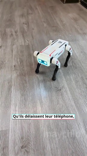 🤖 RoboDog X1 - L'Intelligence Artificielle Prend Vie Découvrez le premier chien robotique grand public doté d'une IA émotionnelle ! Avec son design futuriste blanc et noir et ses yeux à écran LED bleu, RoboDog X1incarne la pointe de la technologie accessible. ⚡ Contrôle Dual intelligent: → Télécommande ergonomique incluse pour une prise en main immédiate → Application dédiée MACHINERY(iOS/Android) pour un contrôle avancé 🌟 Fonctions interactives exclusives: Reconnaissance vocale: Répond à vos