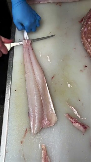 Butcher Craft Cutting Big Snake Fish 😱🔪 | Amazing Fishing & Cutting Skills #shorts