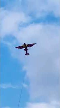 It's been a long time since I flew the pterodactyl kite!