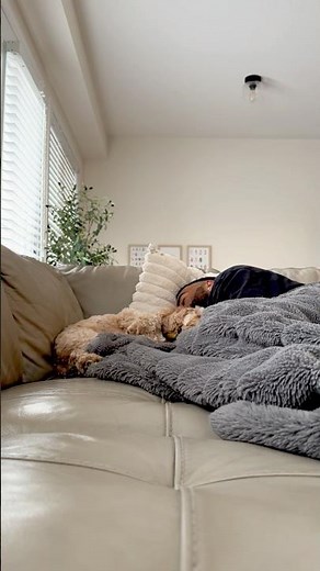 Mini Cockapoo and Her Dad Share a Different Kind of Love 🥺