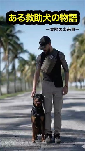 [True story] How a puppy abandoned by its mother became a rescue dog
