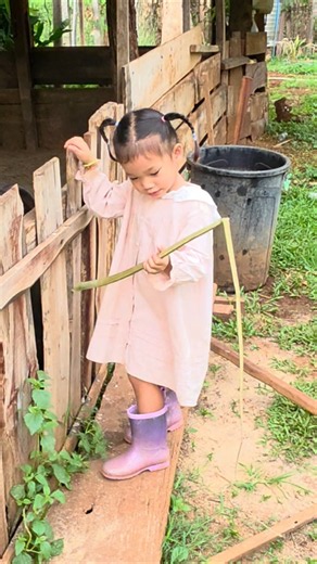 หนูน้อยเลี้ยงหมู 🐷#ลูกน่ารัก #เด็กน้อย #หมูน้อย #บ้านสวน #ครอบครัว #น่ารัก #shorts #viral #fyp #เด็ก