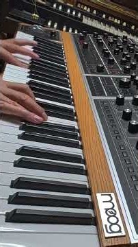 moog one strings syn II