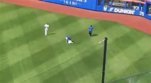 Horror At The Ballpark As Brutal Collision Leaves Bird Dead In The Outfield At Mets-Pirates Game [VIDEO]