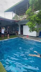 Our ADULT beginner students doing the pencil dive and the “Sightseeing Swim”, which is a bonus lesson included in our Beginner Survival Program, in a 15FT DEEP dive pool! 💫 The sightseeing swim is ideal if you would like to look around your surroundings while moving in the deep pool or open water. 📍Video Location: Dive Buddy (Cupang, Muntinlupa) Check out our other locations across Metro Manila: https://swimtravelph.com/venuesandschedules/ Set your standards high and learn how to swim with the