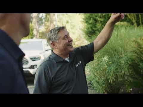 How to Protect Your Trees Before Severe Weather