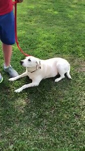 48K views · 252 reactions | Morning Anchor Leslie Spoon and family exercising and getting out - but keeping a distance - in Mandeville Sunday. | WWLTV | Facebook
