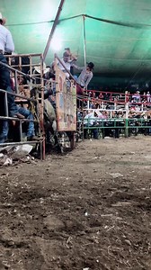 353K views · 10K reactions | ¡EL COLUMPIO!  | Los Toros Divinos MX | Facebook