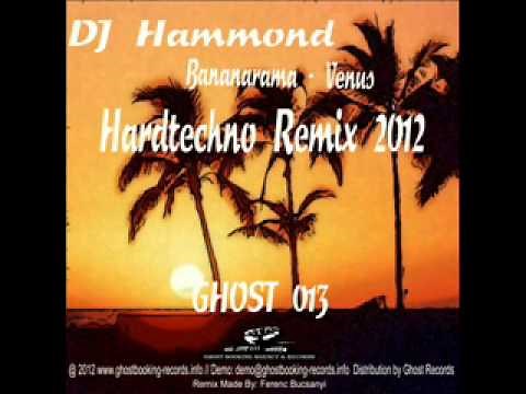 Bananarama - Venus (DJ Hammond Hardtechno Remix 2012) [Ghost013] (Prew)