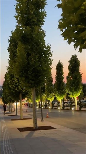 Ankara’s Nation’s Library: Knowledge Meets Architecture. #NationsLibrary #Ankara #Turkey #shorts