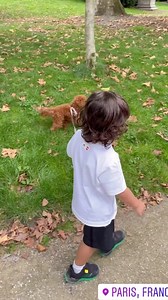 25K views · 126 reactions | Ciro Messi paseó a su perrito Abú por la "ciudad luz" Antonela Roccuzzo compartió el tierno video de su hijo menor con la mascora de la familia. #Espectáculos | Ciudad Magazine | Facebook