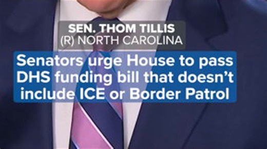 Senators from both parties urge House to pass DHS funding without ICE or Border Patrol