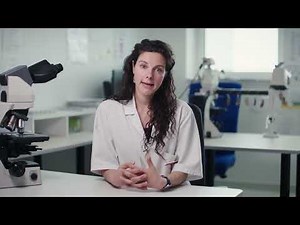 Fetal post mortem examination