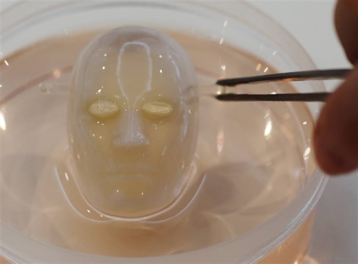 Say cheese: Japanese scientists make robot face 'smile' with living skin