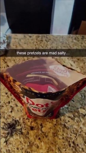 Custom Packaging Pouches for Food, Nutrition & Daily Essentials | Design, Print & Deliver