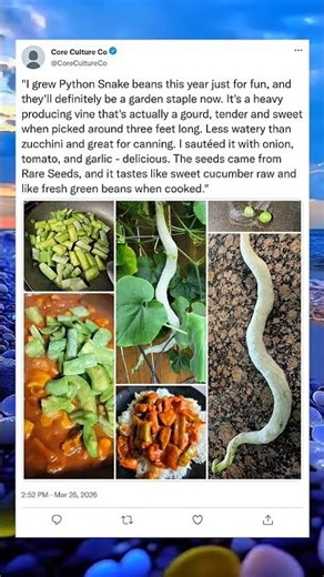 These Beans Grow Into Realistic Snake Shapes 🐍🌱#gardening #plantmagic