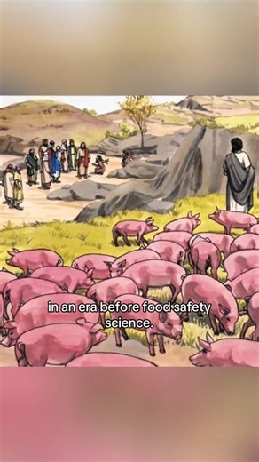 453K views · 13K reactions | Religious Rules that Were Actually Ancient Health Codes  #History #historytok #historyfacts #viral #religion | dose.history | Facebook