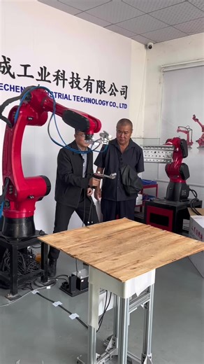 Indonesian Customer's On-Site Inspection of Spray Robots