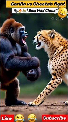 Gorilla SMASHES Cheetah in the Middle of the City! 🦍🔥🐆 | Epic Wild Clash".