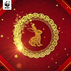 WWF-Singapore wishes you a happy and prosperous Lunar New Year! 🧧 🐇As we ‘hop’ into the Year of the Rabbit, we look forward to a new chapter of vitality and growth. The rabbit represents appreciation, harmony and hope – all of which are values we hold close to build a greener and resilient future! May you and your loved ones enjoy this auspicious occasion together! 🍊🍊 #TogerherPossible #WWFSG | WWF-Singapore